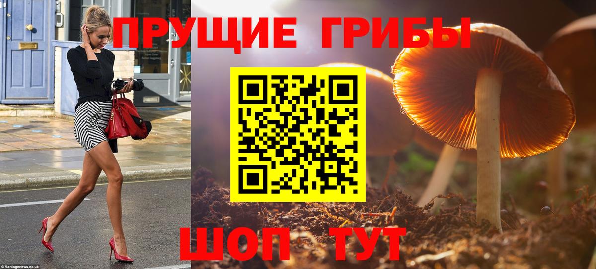 Галлюциногенные грибы GOLDEN TEACHER Луховицы